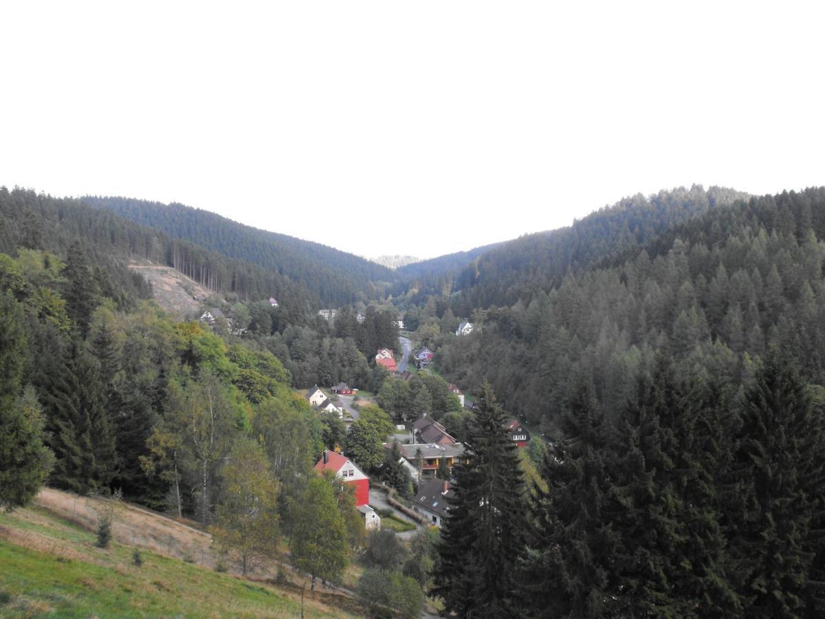 Ferienwohnung Sonnenhuegel Wildemann Zewnętrze zdjęcie