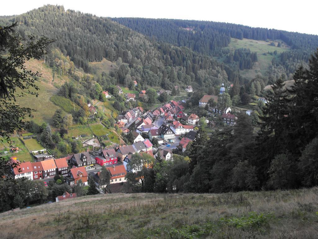 Ferienwohnung Sonnenhuegel Wildemann Zewnętrze zdjęcie
