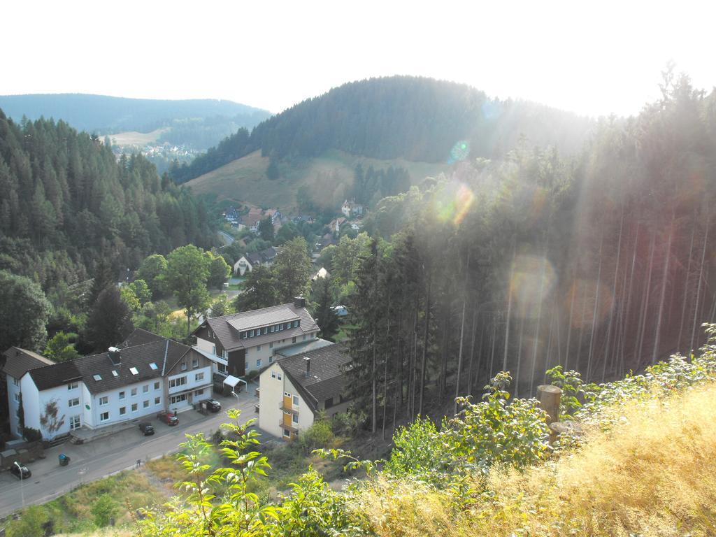 Ferienwohnung Sonnenhuegel Wildemann Zewnętrze zdjęcie