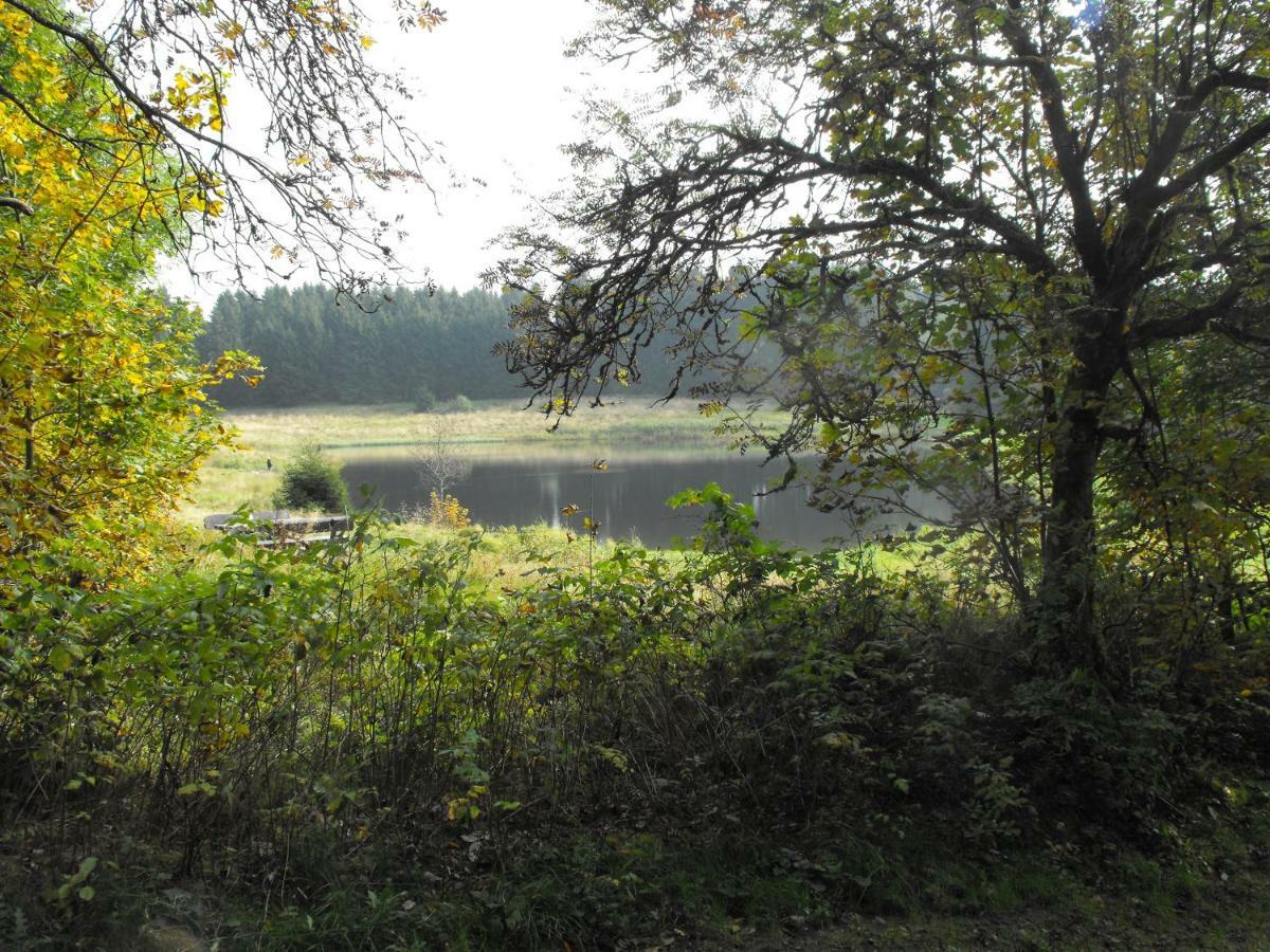 Ferienwohnung Sonnenhuegel Wildemann Zewnętrze zdjęcie
